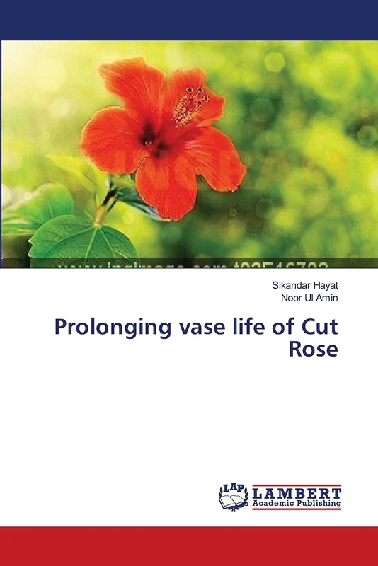 Prolonging vase life of Cut Rose - Image 1