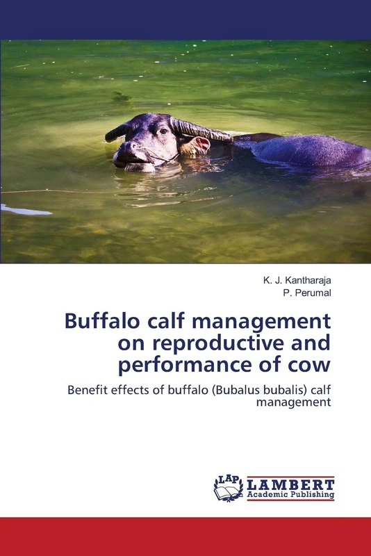 Buffalo calf management on reproductive and performance of cow: Benefit effects of buffalo (Bubalus bubalis) calf management - Image 1