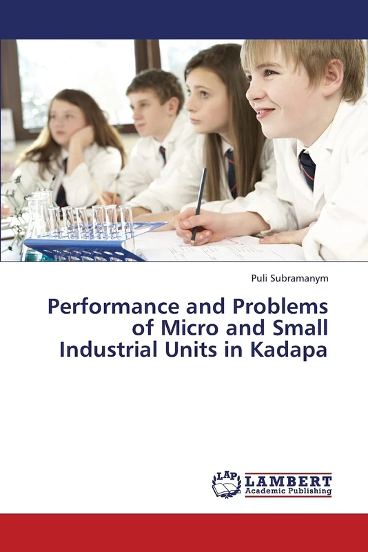 Performance and Problems of Micro and Small Industrial Units in Kadapa