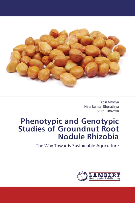 Phenotypic and Genotypic Studies of Groundnut Root Nodule Rhizobia: The Way Towards Sustainable Agriculture - Image 1