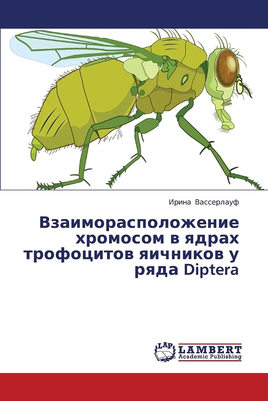 Vzaimoraspolozhenie khromosom v yadrakh trofotsitov yaichnikov u ryada Diptera