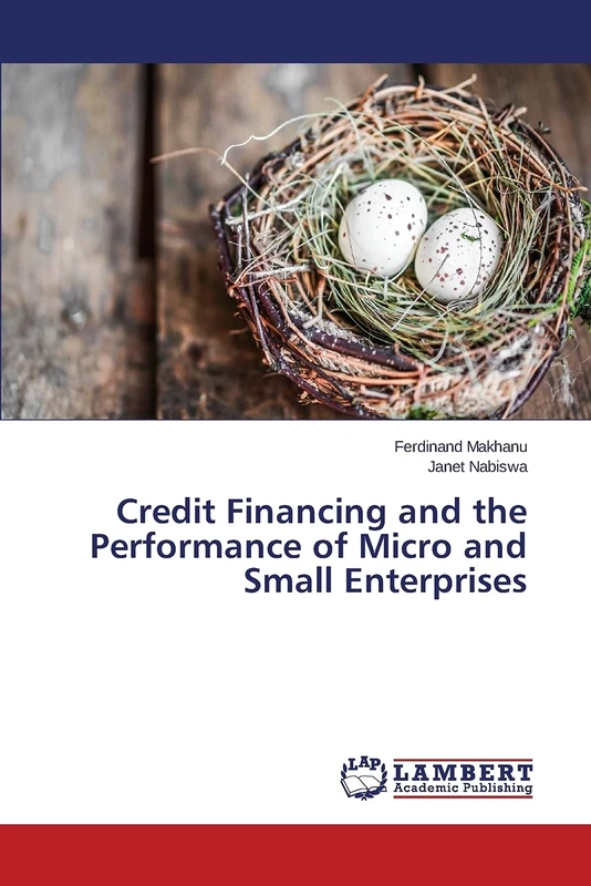 Credit Financing and the Performance of Micro and Small Enterprises