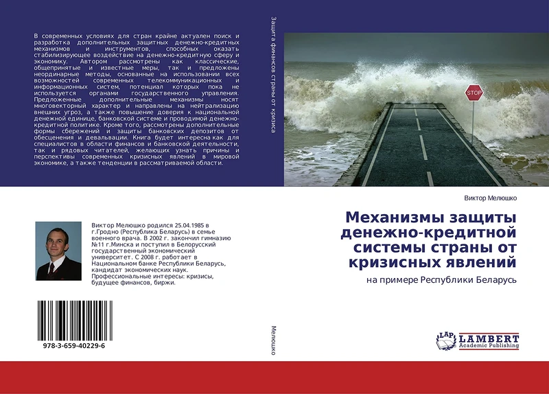 Механизмы защиты денежно-кредитной системы страны от кризисных явлений: на примере Республики Беларусь: na primere Respubliki Belarus'