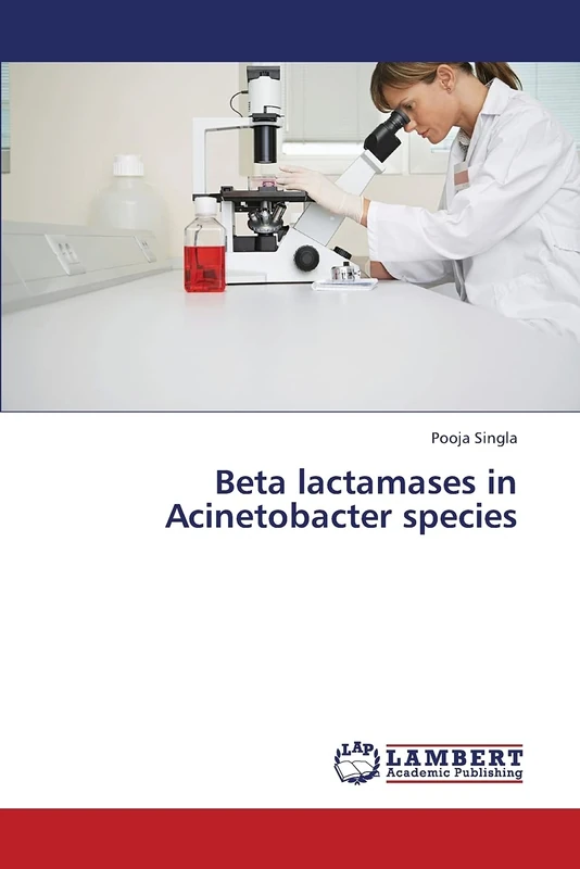 Beta lactamases in Acinetobacter species