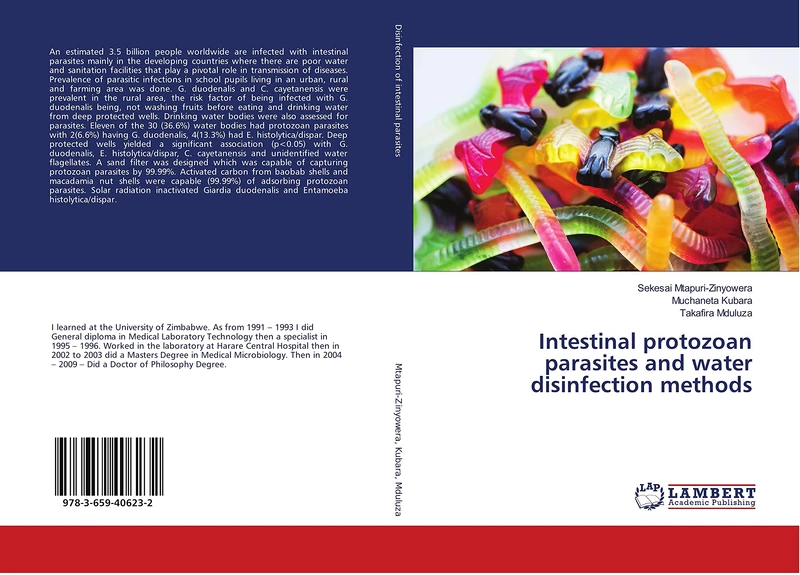 Intestinal protozoan parasites and water disinfection methods