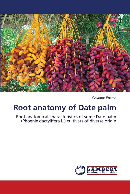 Root anatomy of Date palm: Root anatomical characteristics of some Date palm (Phoenix dactylifera L.) cultivars of diverse origin - Image 1