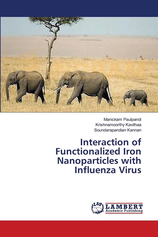 Interaction of Functionalized Iron Nanoparticles with Influenza Virus