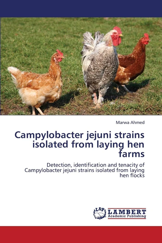 Campylobacter jejuni strains isolated from laying hen farms: Detection, identification and tenacity of Campylobacter jejuni strains isolated from laying hen flocks