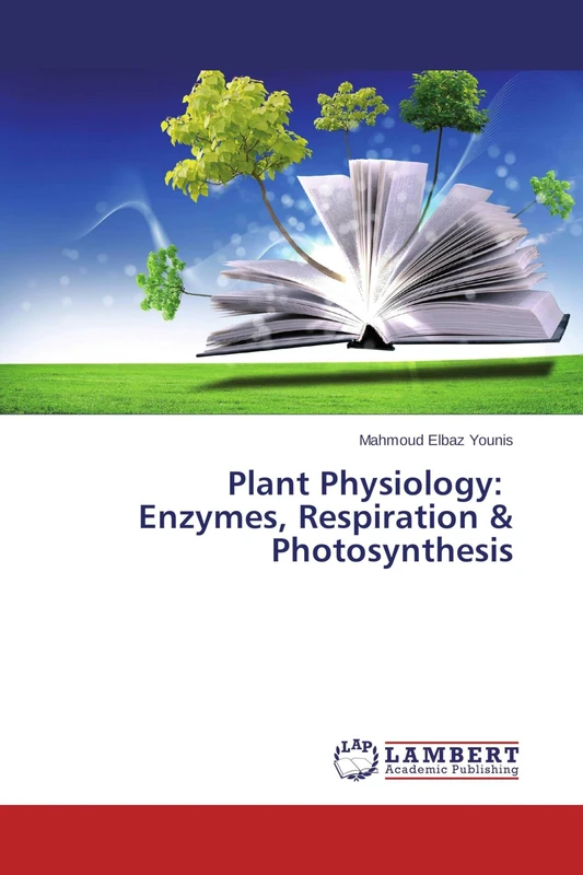 Plant Physiology: Enzymes, Respiration & Photosynthesis