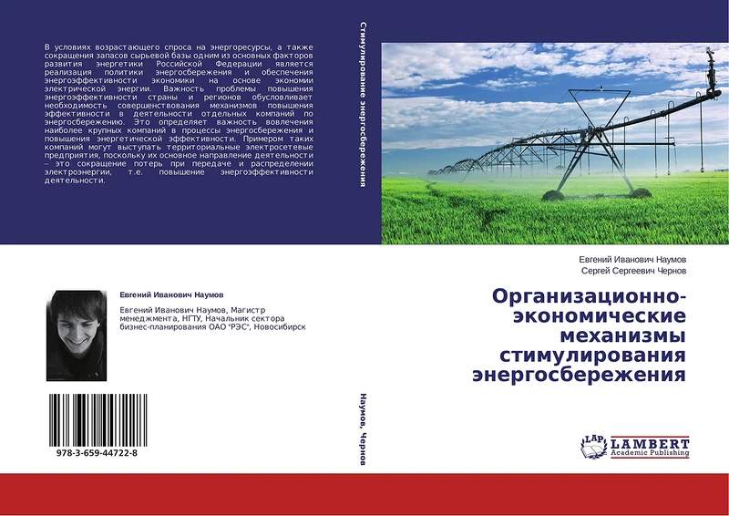 Organizatsionno-ekonomicheskie mekhanizmy stimulirovaniya energosberezheniya