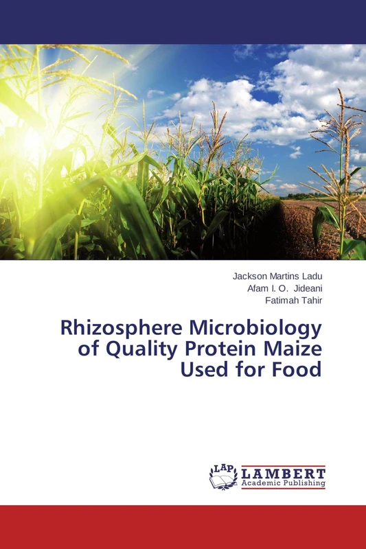 Rhizosphere Microbiology of Quality Protein Maize Used for Food - Image 1