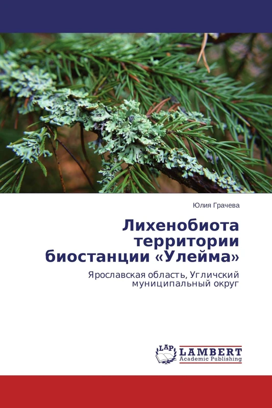 Likhenobiota territorii biostantsii «Uleyma»: Yaroslavskaya oblast', Uglichskiy munitsipal'nyy okrug - Image 1