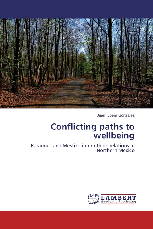 Conflicting paths to wellbeing: Raramuri and Mestizo inter-ethnic relations in Northern Mexico