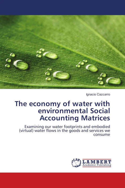 The economy of water with environmental Social Accounting Matrices: Examining our water footprints and embodied (virtual) water flows in the goods and services we consume - Image 1