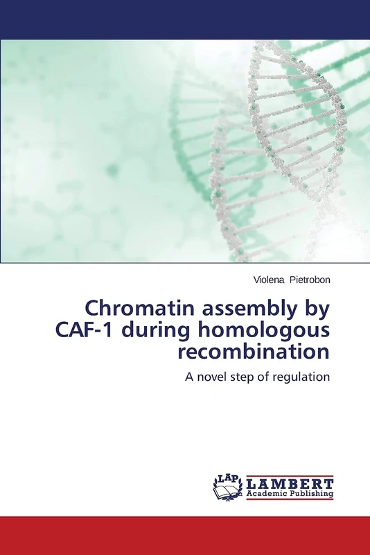 Chromatin assembly by CAF-1 during homologous recombination: A novel step of regulation - Image 1