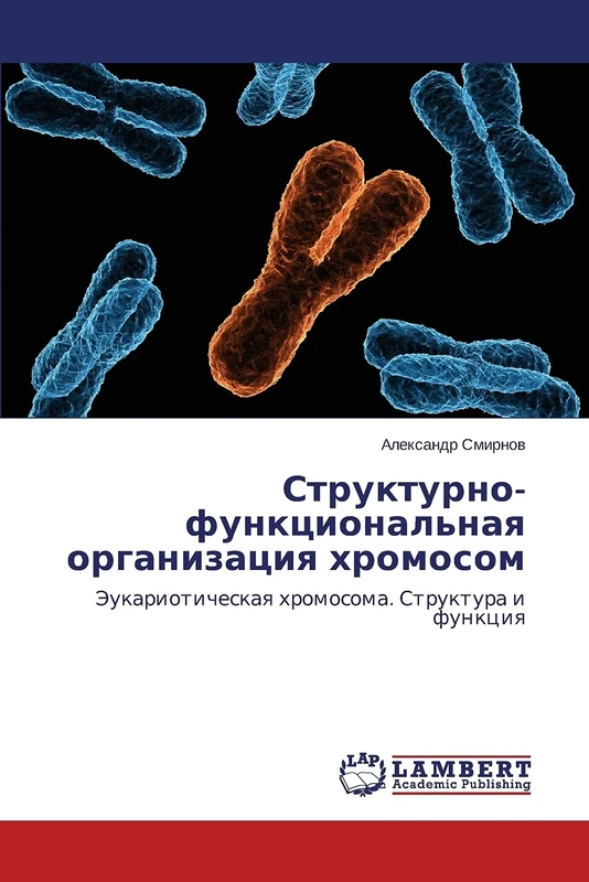 Strukturno-funktsional'naya organizatsiya khromosom: Eukarioticheskaya khromosoma. Struktura i funktsiya