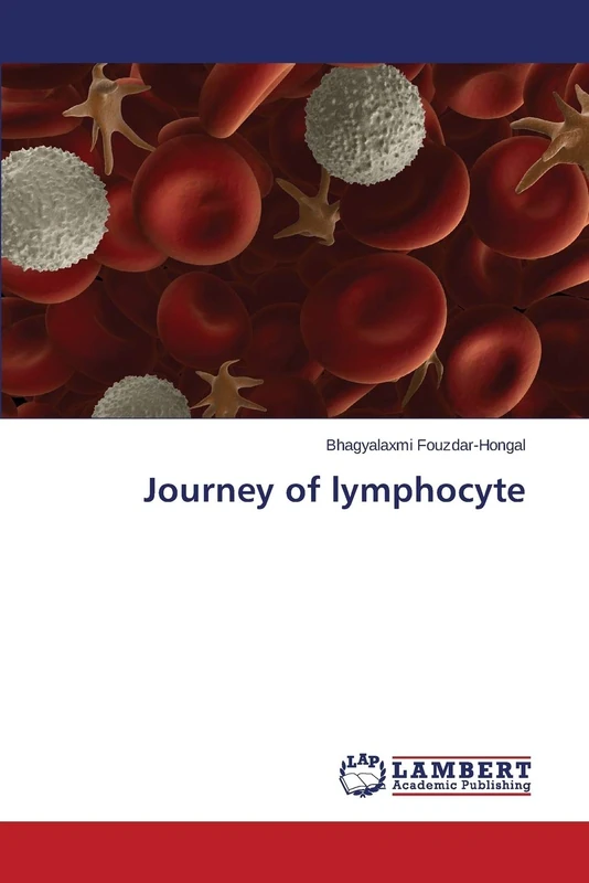 Journey of lymphocyte - Image 1