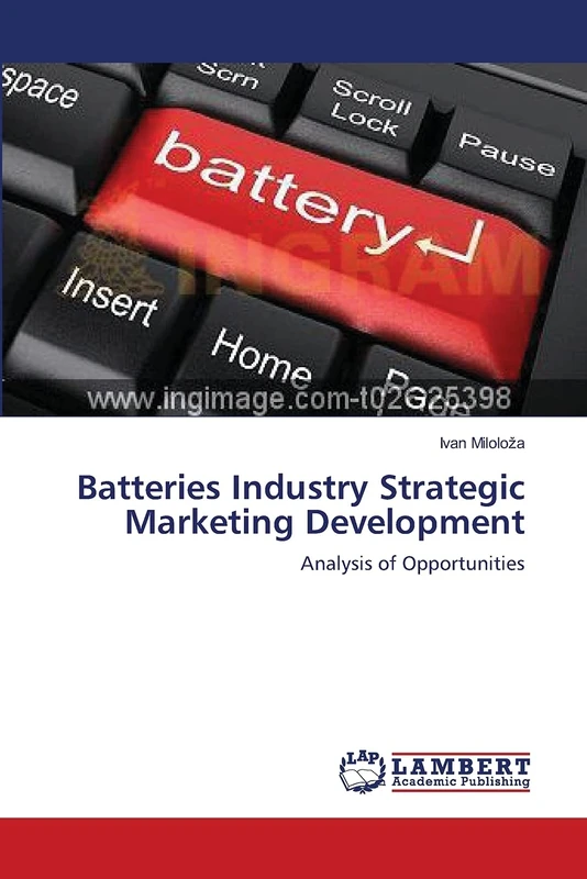 Batteries Industry Strategic Marketing Development: Analysis of Opportunities