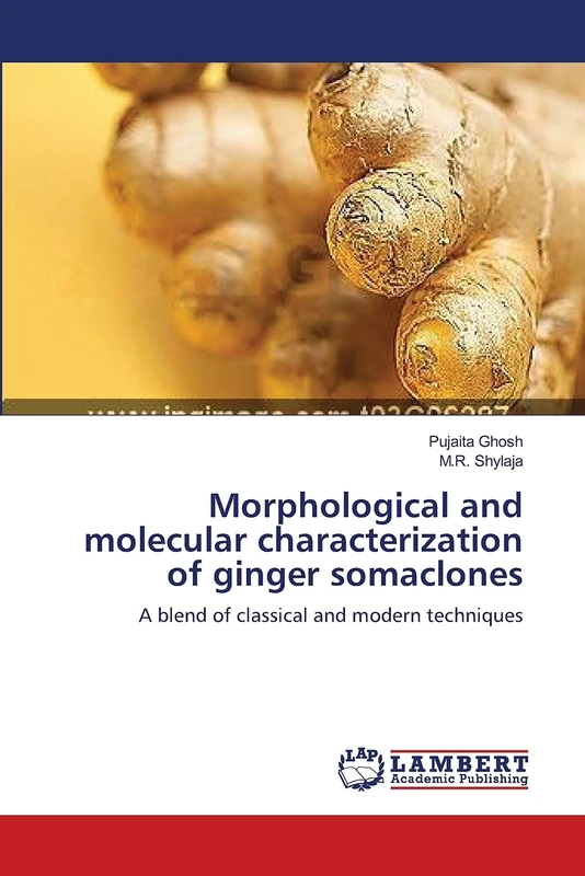 Morphological and molecular characterization of ginger somaclones: A blend of classical and modern techniques - Image 1