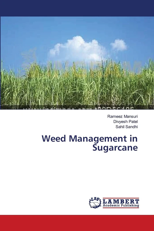 Weed Management in Sugarcane - Image 1