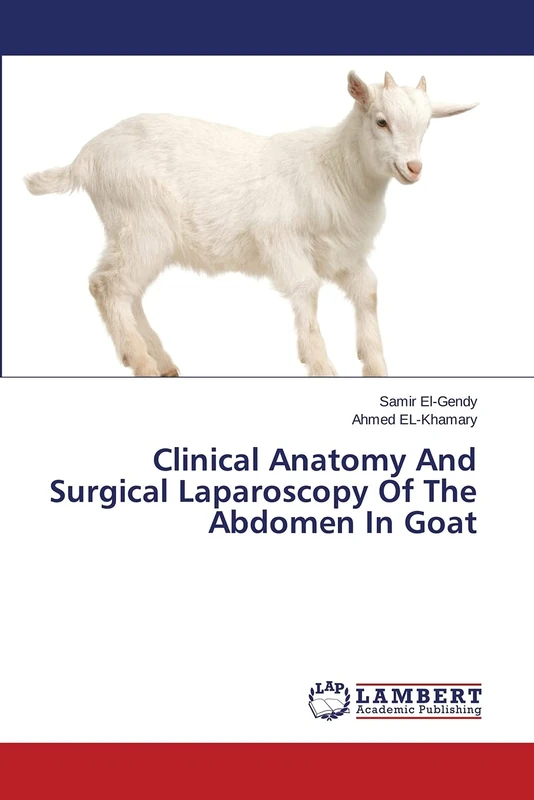 Clinical Anatomy And Surgical Laparoscopy Of The Abdomen In Goat