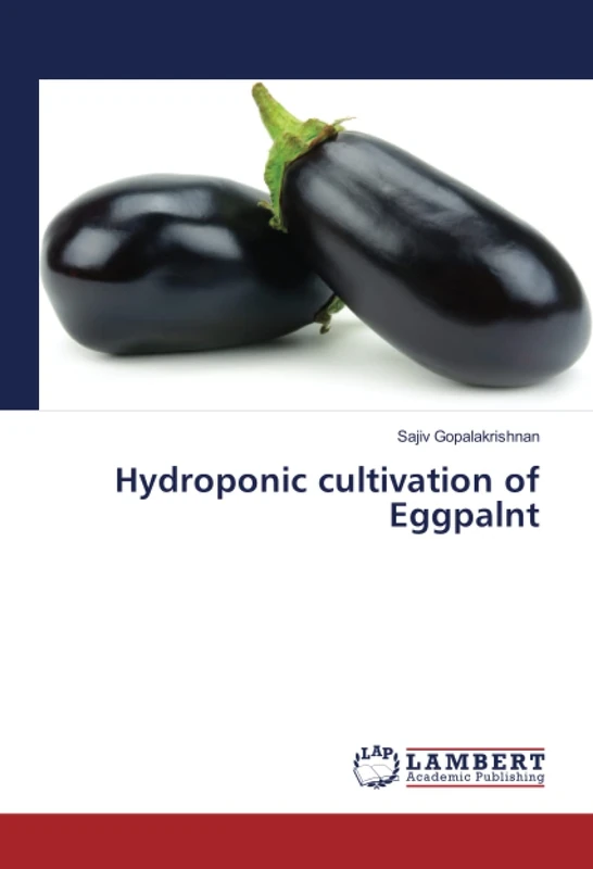 Hydroponic cultivation of Eggpalnt