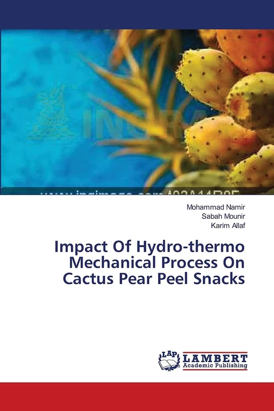 Impact Of Hydro-thermo Mechanical Process On Cactus Pear Peel Snacks - Image 1