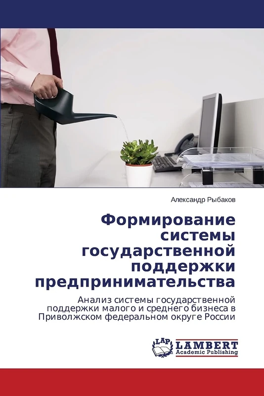 Формирование системы государственной поддержки предпринимательства: Анализ системы государственной поддержки малого и среднего бизнеса в Приволжском ... w Priwolzhskom federal'nom okruge Rossii