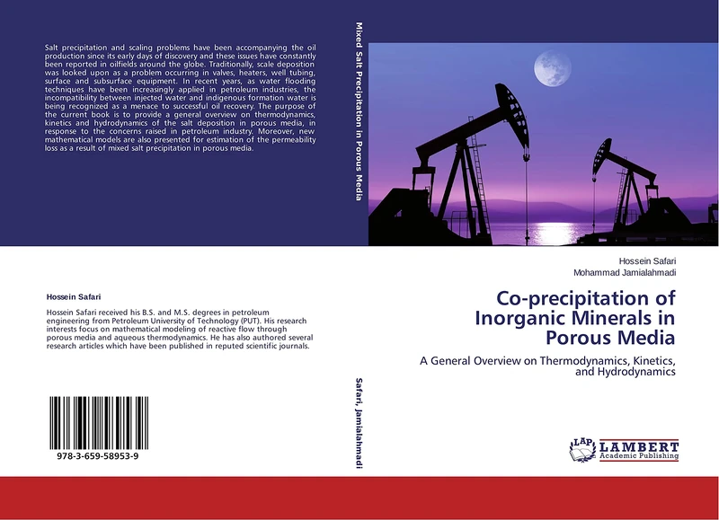 Co-precipitation of Inorganic Minerals in Porous Media: A General Overview on Thermodynamics, Kinetics, and Hydrodynamics - Image 1