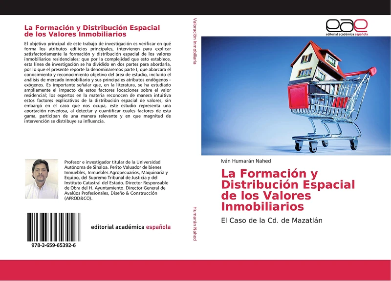 La Formación y Distribución Espacial de los Valores Inmobiliarios: El Caso de la Cd. de Mazatlán - Image 1
