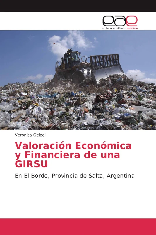 Valoración Económica y Financiera de una GIRSU: En El Bordo, Provincia de Salta, Argentina - Image 1