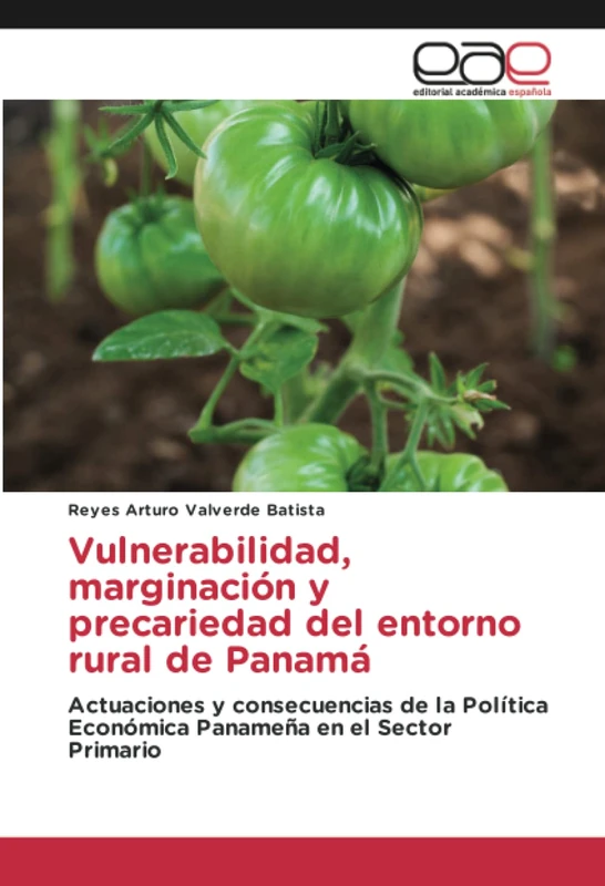 Vulnerabilidad, marginación y precariedad del entorno rural de Panamá: Actuaciones y consecuencias de la Política Económica Panameña en el Sector Primario - Image 1