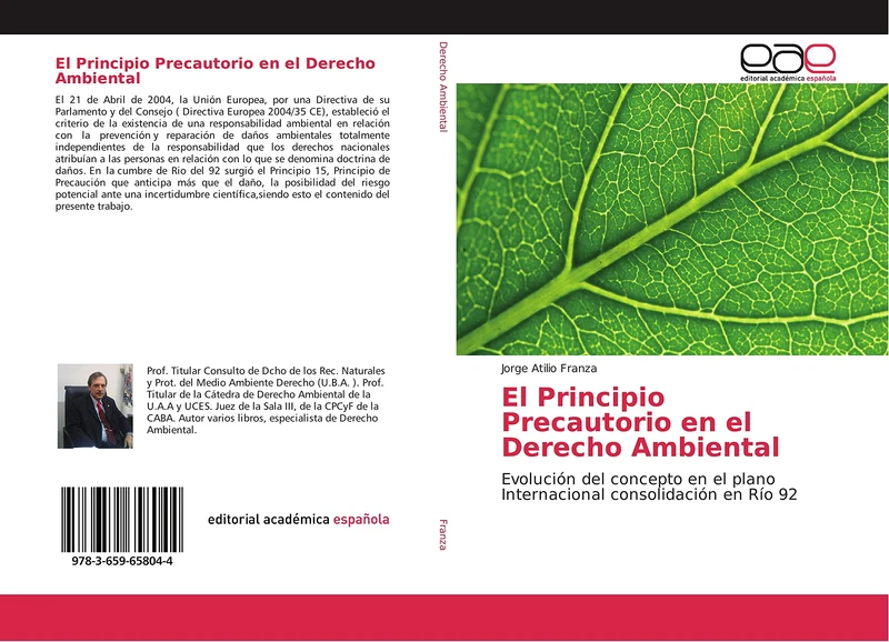 El Principio Precautorio en el Derecho Ambiental: Evolución del concepto en el plano Internacional consolidación en Río 92