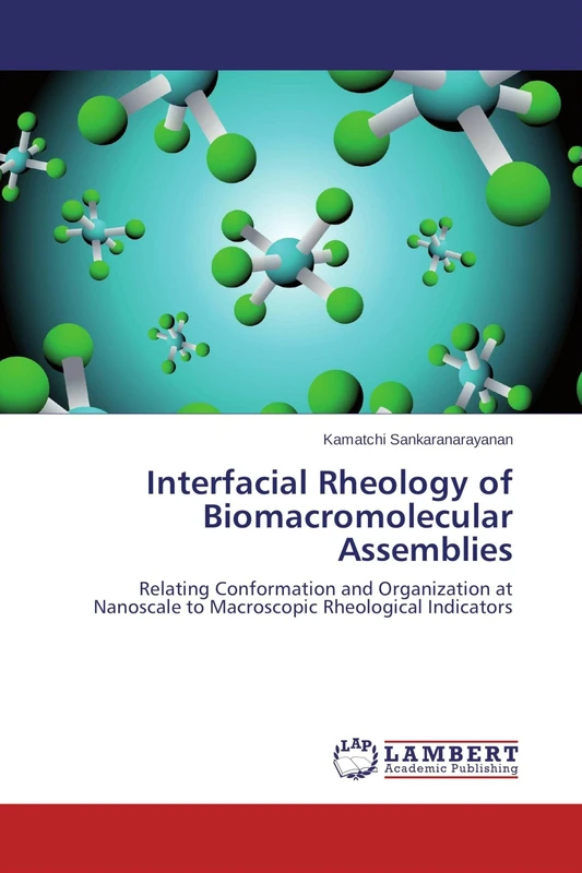 Interfacial Rheology of Biomacromolecular Assemblies: Relating Conformation and Organization at Nanoscale to Macroscopic Rheological Indicators