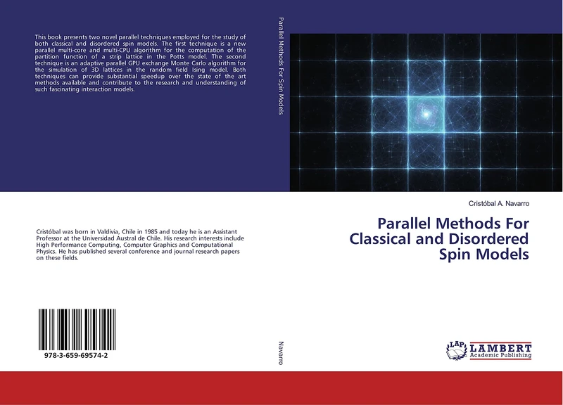 Parallel Methods For Classical and Disordered Spin Models