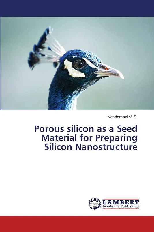 Porous silicon as a Seed Material for Preparing Silicon Nanostructure - Image 1