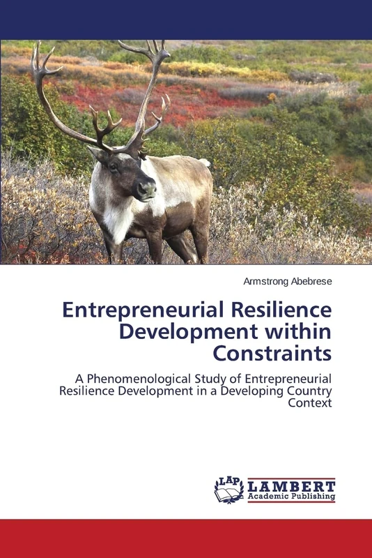 Entrepreneurial Resilience Development within Constraints: A Phenomenological Study of Entrepreneurial Resilience Development in a Developing Country Context