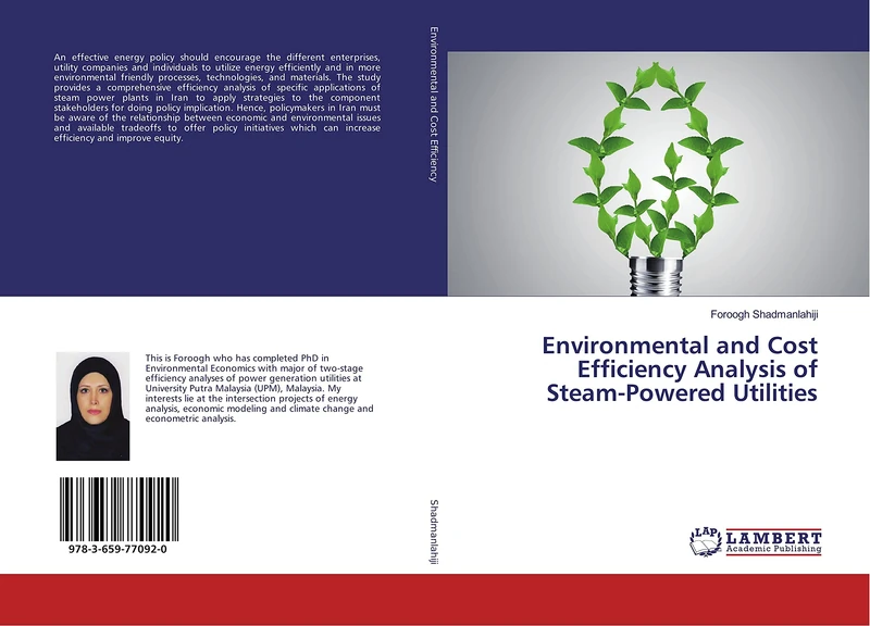 Environmental and Cost Efficiency Analysis of Steam-Powered Utilities - Image 1