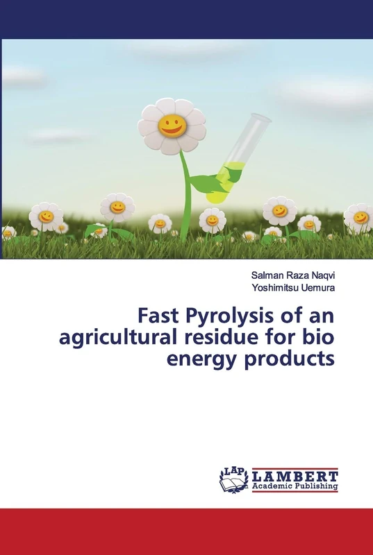 Fast Pyrolysis of an agricultural residue for bio energy products