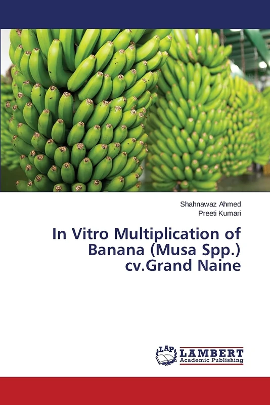 In Vitro Multiplication of Banana (Musa Spp.) cv.Grand Naine - Image 1