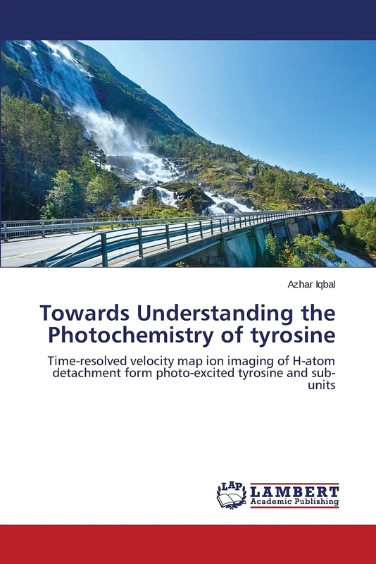 Towards Understanding the Photochemistry of tyrosine: Time-resolved velocity map ion imaging of H-atom detachment form photo-excited tyrosine and sub-units - Image 1