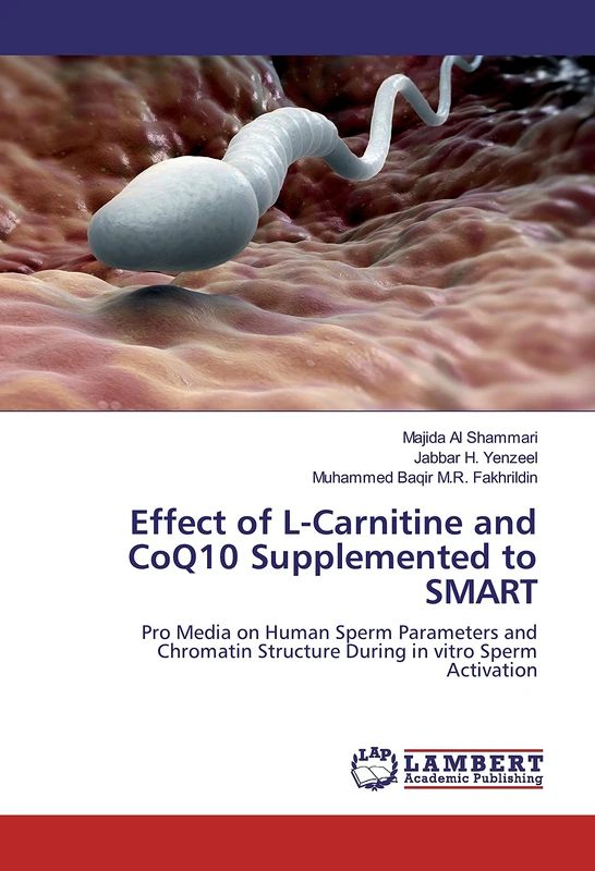 Effect of L-Carnitine and CoQ10 Supplemented to SMART: Pro Media on Human Sperm Parameters and Chromatin Structure During in vitro Sperm Activation