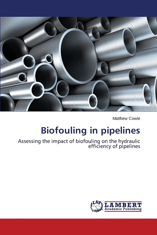 Biofouling in pipelines: Assessing the impact of biofouling on the hydraulic efficiency of pipelines