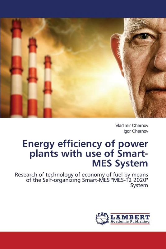 Energy efficiency of power plants with use of Smart-MES System: Research of technology of economy of fuel by means of the Self-organizing Smart-MES "MES-T2 2020" System