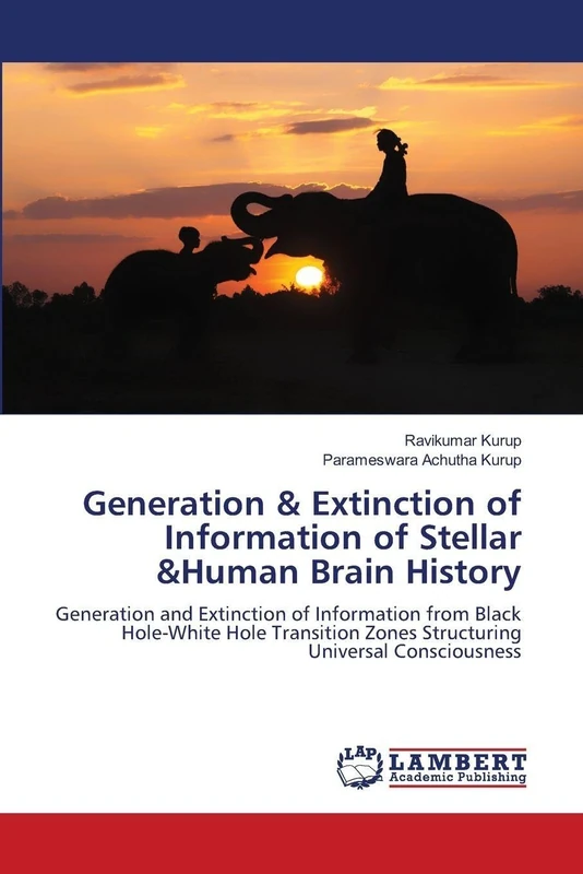 Generation & Extinction of Information of Stellar &Human Brain History: Generation and Extinction of Information from Black Hole-White Hole Transition Zones Structuring Universal Consciousness