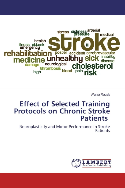 Effect of Selected Training Protocols on Chronic Stroke Patients: Neuroplasticity and Motor Performance in Stroke Patients