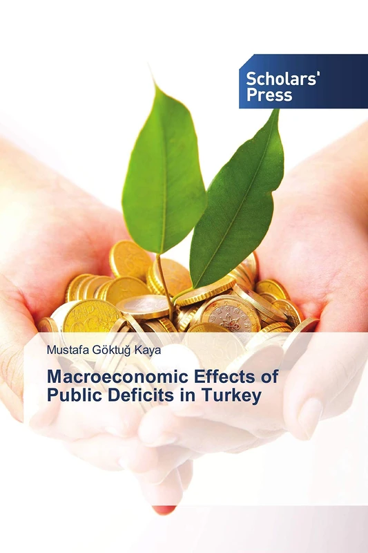 Macroeconomic Effects of Public Deficits in Turkey - Image 1