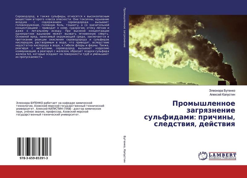 Промышленное загрязнение сульфидами: причины, следствия, действия - Image 1