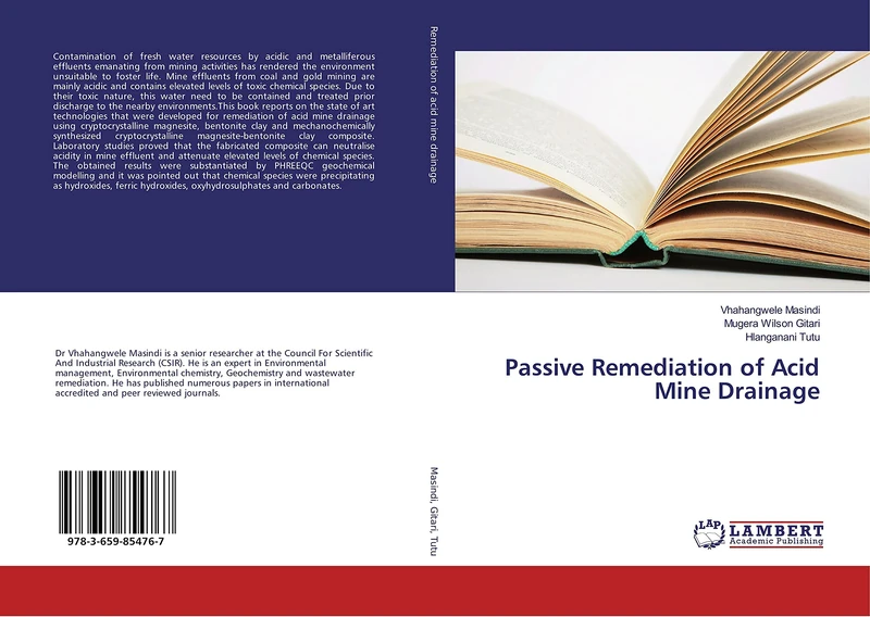 Passive Remediation of Acid Mine Drainage - Image 1