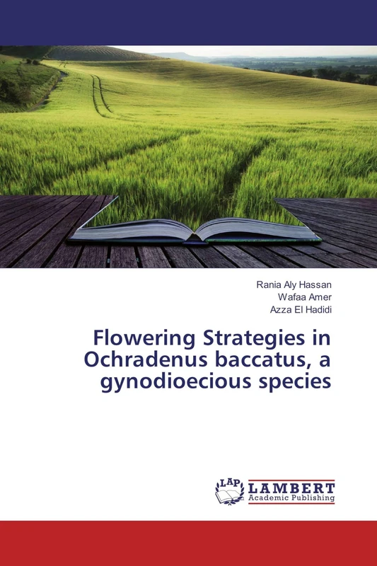 Flowering Strategies in Ochradenus baccatus, a gynodioecious species - Image 1